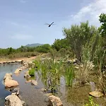 Ecovita Agri-glamping Luxussátor
