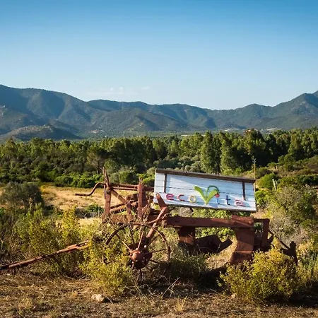 Ecovita Agri-glamping Luxury tent San Vito (Sardinia)