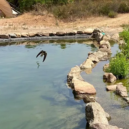Ecovita Agri-glamping אוהל מפואר *