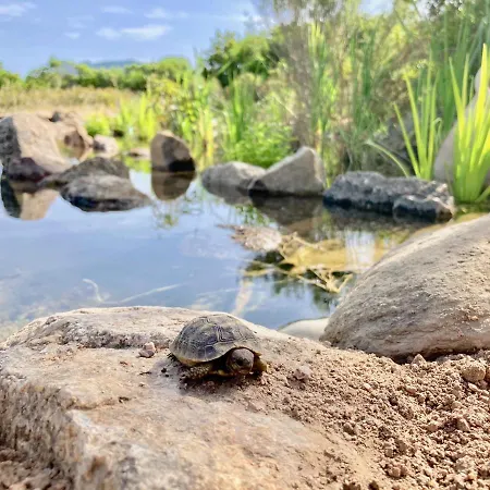 Ecovita Agri-glamping *