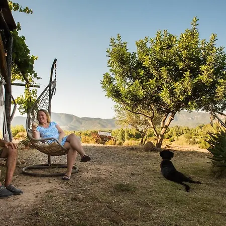Campo de lujo Ecovita Agri-glamping