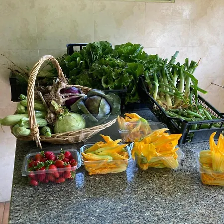 Ecovita Agri-glamping אוהל מפואר סן ויטו