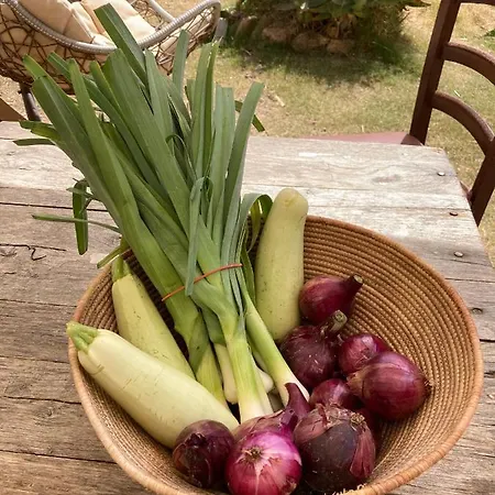 Ecovita Agri-glamping סן ויטו