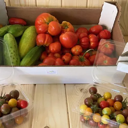 אוהל מפואר Ecovita Agri-glamping *