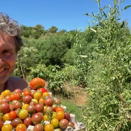 Ecovita Agri-glamping San Vito (Sardinia)