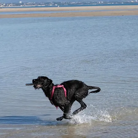 Ecovita Agri-glamping סן ויטו