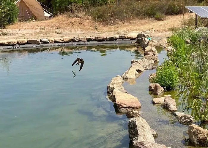 Ecovita Agri-glamping Luxussátor *