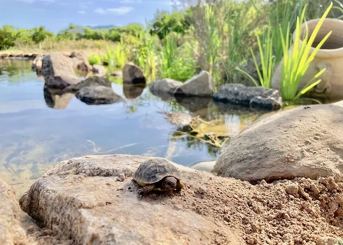 Ecovita Agri-glamping *