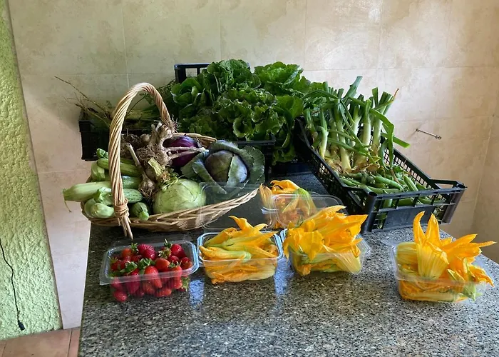 Ecovita Agri-glamping Luxussátor San Vito