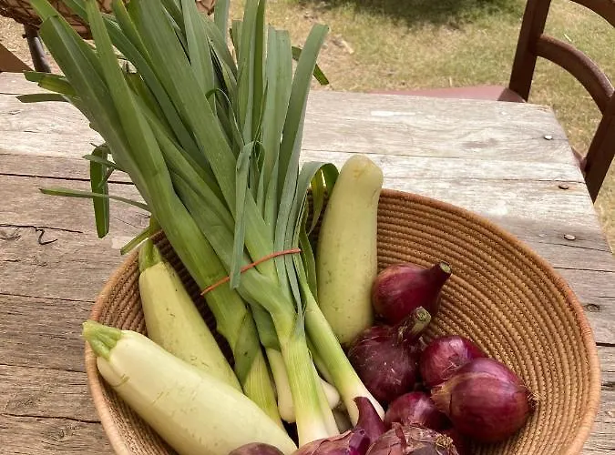 Ecovita Agri-glamping San Vito (Sardinia)