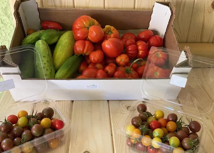 Luxussátor Ecovita Agri-glamping *