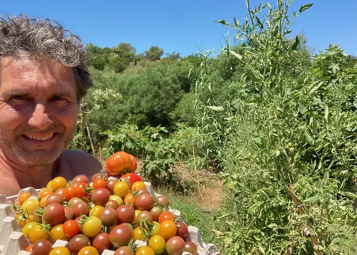 Ecovita Agri-glamping San Vito (Sardinia)