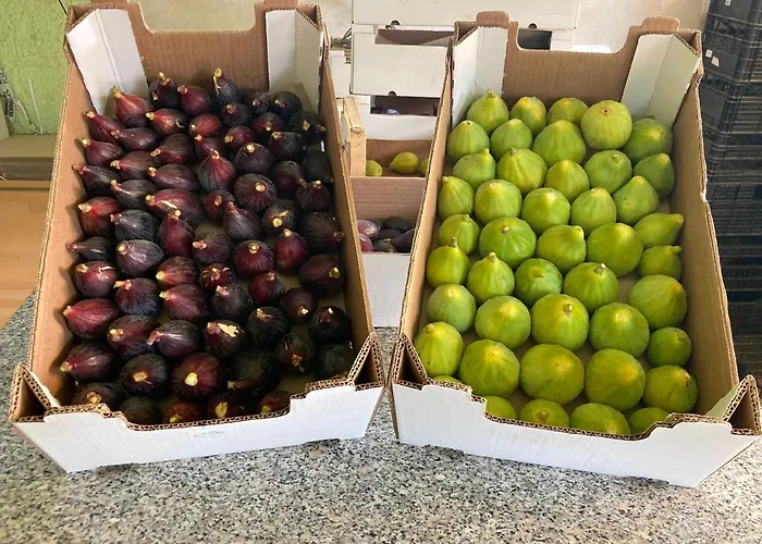 Ecovita Agri-glamping Luxussátor San Vito