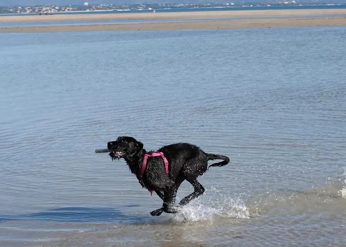 Ecovita Agri-glamping San Vito